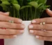 بررسی نماد گل در فرهنگ ها و هنر ها