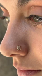 پیرسینگ بینی روباه نمای روی صورت با جزییات دقیق